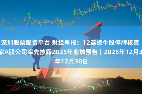 深圳股票配资平台 财经早报：12连板牛股停牌核查 29家A股公司率先披露2025年业绩预告丨2025年12月30日