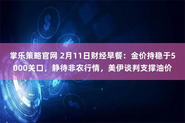 掌乐策略官网 2月11日财经早餐：金价持稳于5000关口，静待非农行情，美伊谈判支撑油价